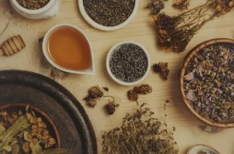 Лекарственное растительное сырьё: виды, заготовка, применение